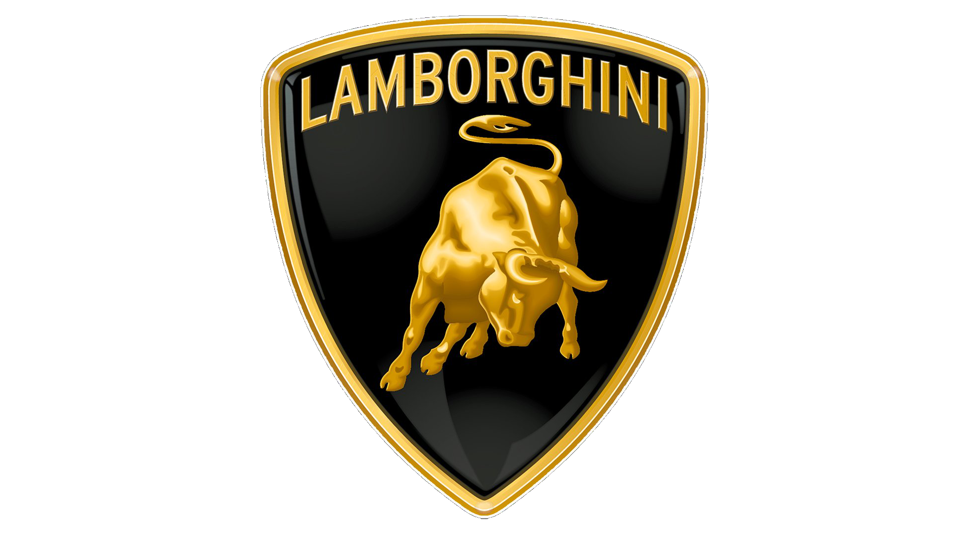 Lamborghini Limousine custom projects