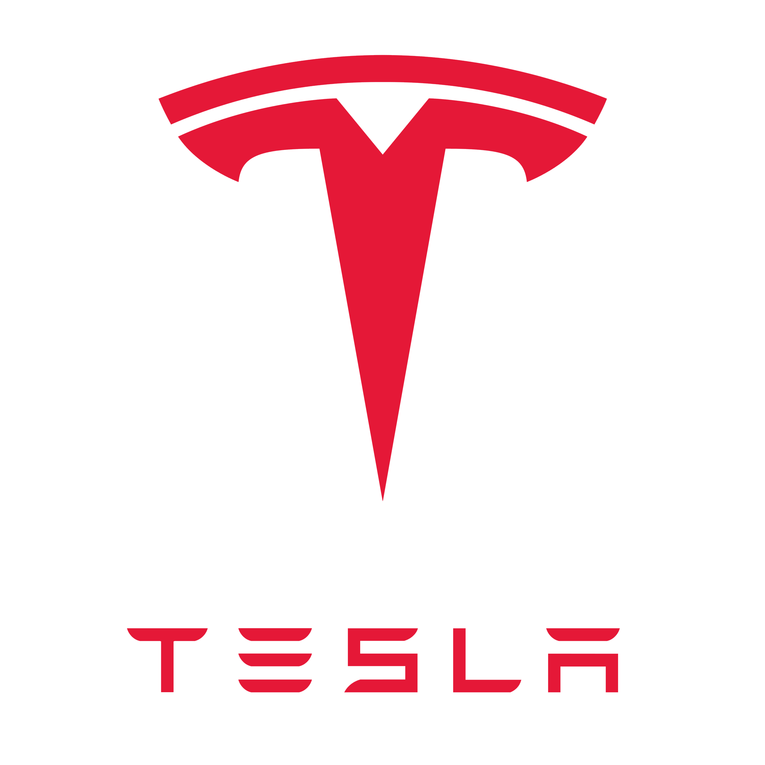 Tesla Limousine conversions and electric limo builds