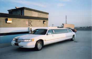 LIMO-49