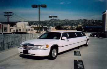 LIMO-50