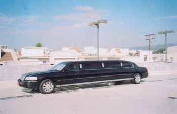 LIMO-55