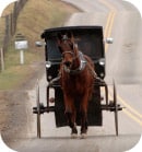 horse-drawn-cart