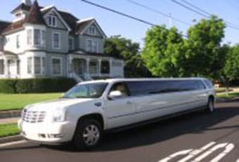 Limo #79