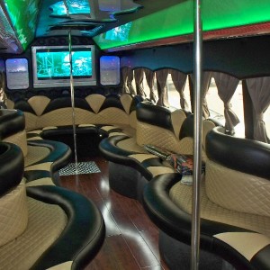 bus2-300x300