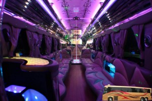 bus21 (1)