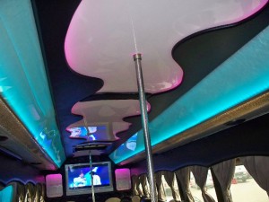 bus31 (1)